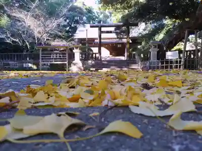 莫越山神社(千葉県)