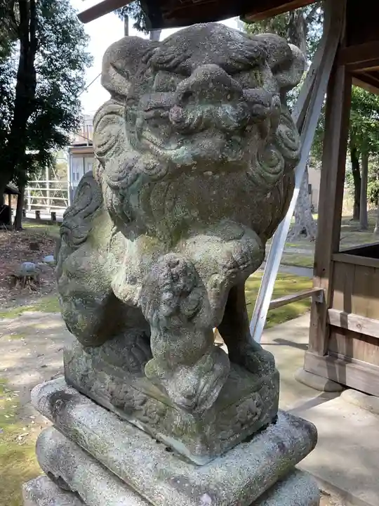 鹽江神社(中野)の狛犬