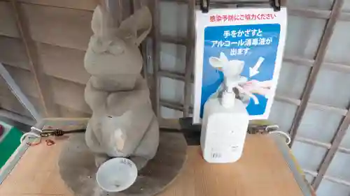 白兎神社の狛犬