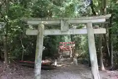 猿田彦神社の鳥居