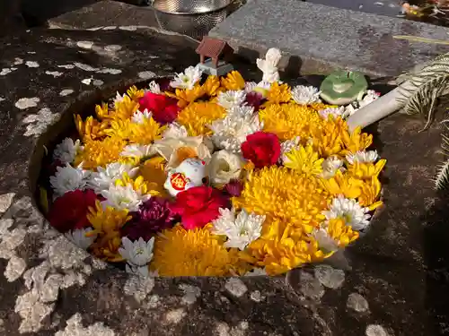 真言宗　善通寺派　薬王寺(香川県)