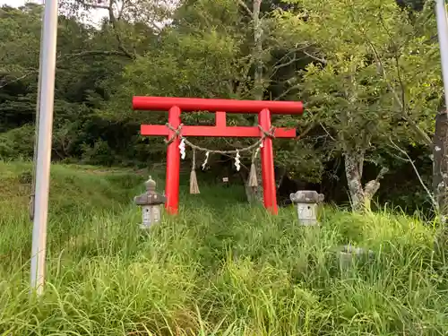 浅間神社の鳥居