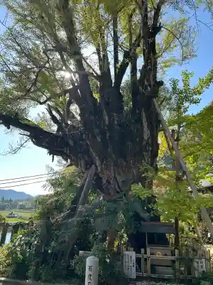 葛城一言主神社(奈良県)
