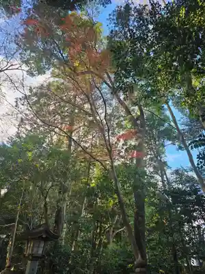 駒木諏訪神社(千葉県)
