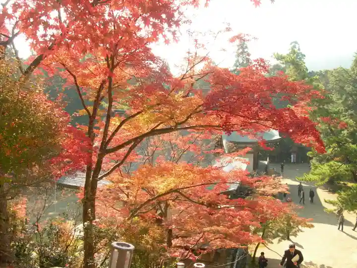 神護寺(京都府)