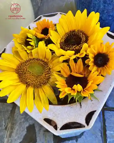 立志神社(滋賀県)