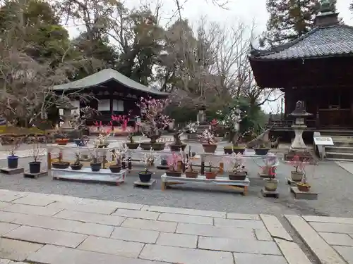 石山寺(滋賀県)