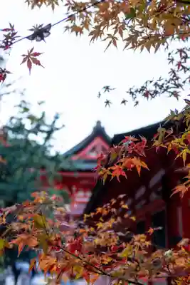 賀茂御祖神社（下鴨神社）(京都府)