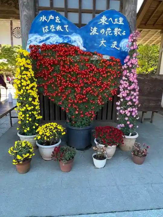 大洗磯前神社(茨城県)