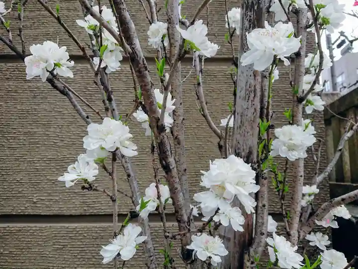 小野照崎神社の自然