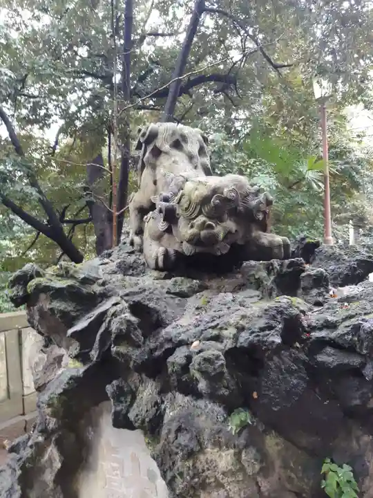 赤坂氷川神社の狛犬