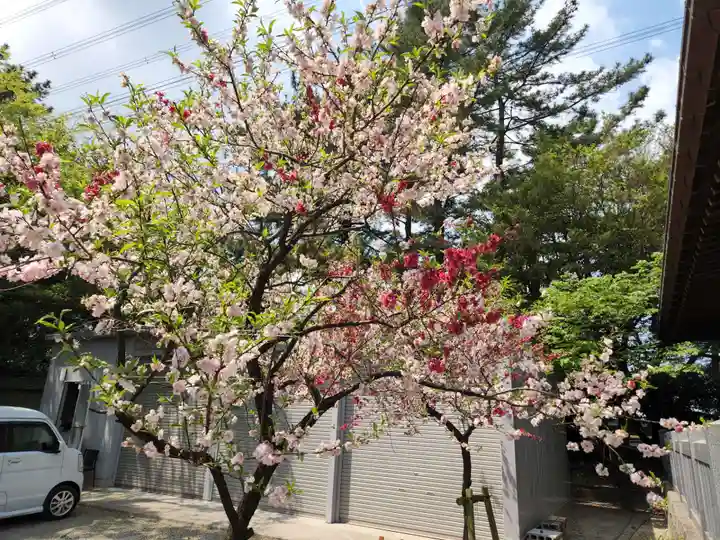 市原稲荷神社の自然