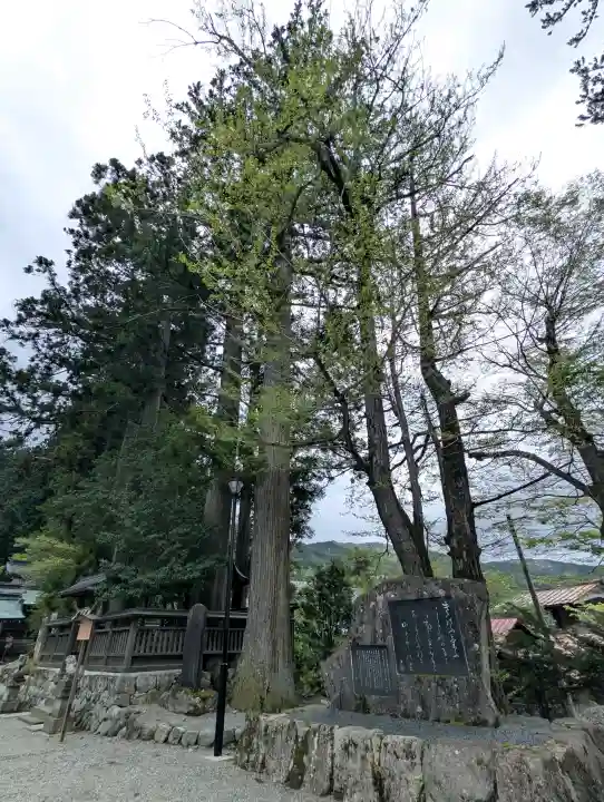 飛驒一宮水無神社(岐阜県)