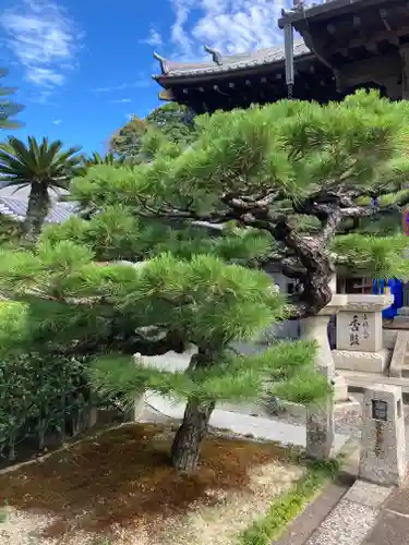 明星院(広島県)