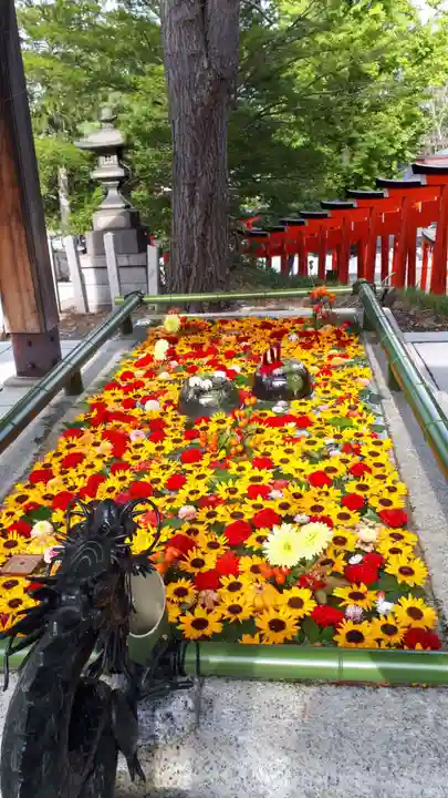 住吉神社の手水舎