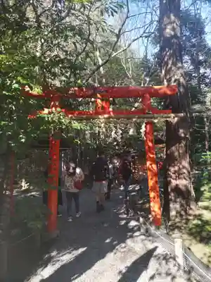 野宮神社(京都府)