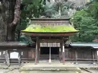 若狭姫神社(若狭彦神社下社)の本殿・本堂