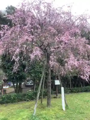 橿森神社(岐阜県)