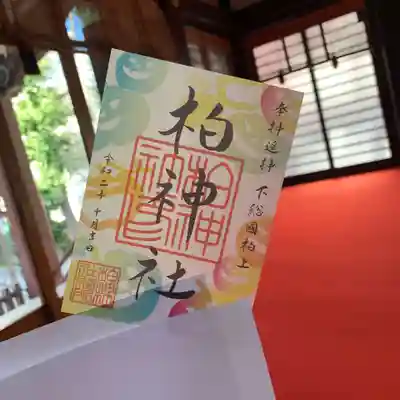 南瓜(カボチャ) 片面