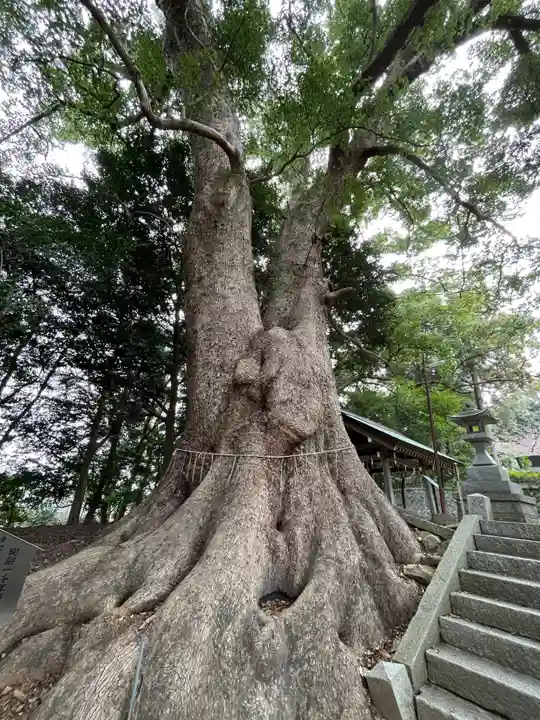 五所八幡宮(福岡県)