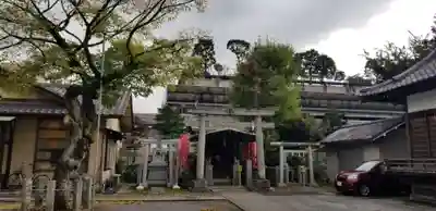 小菅稲荷神社の鳥居