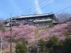 楽法寺（雨引観音）の自然