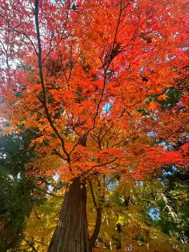 陸奥総社宮(宮城県)