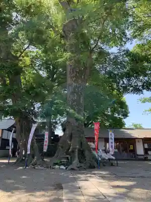 八枝神社(埼玉県)