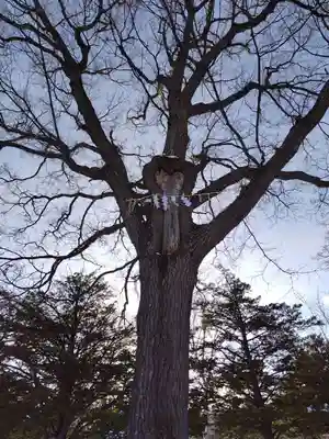 厚別神社(北海道)