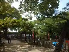 葛井寺の庭園