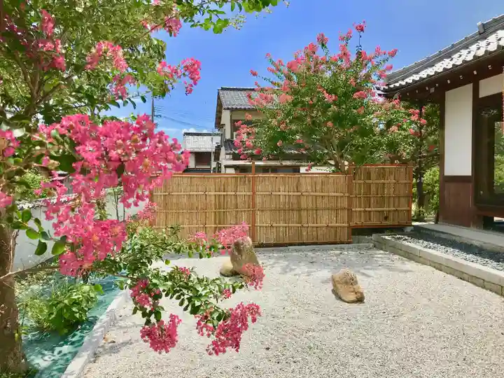 普陀山 妙法寺の自然