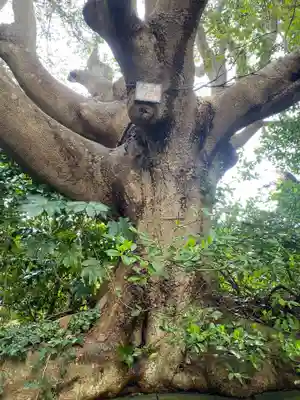 酒列磯前神社(茨城県)