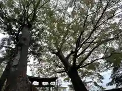 岩崎神社(長野県)