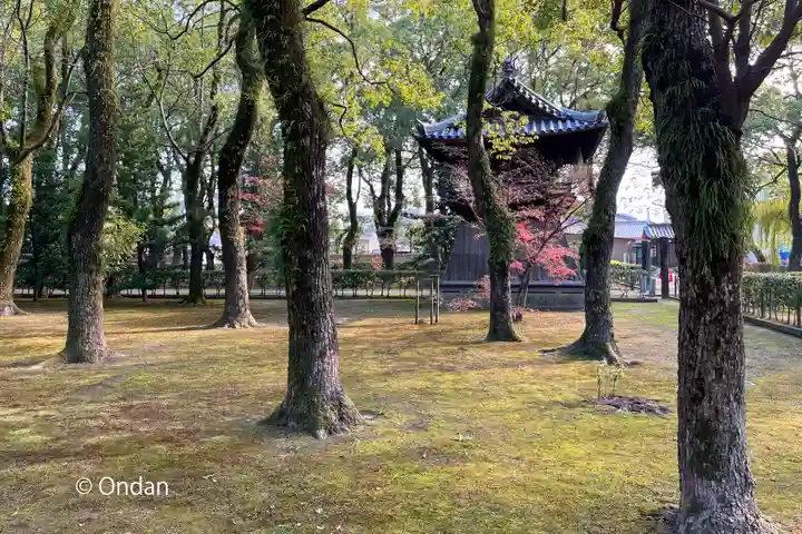 聖福寺(福岡県)
