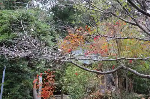 開成山大神宮の庭園
