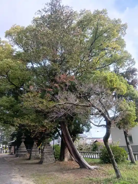 比奈守神社(岐阜県)