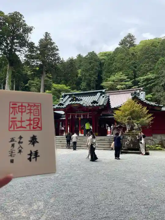 箱根神社の御朱印