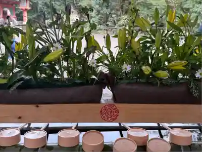 武蔵一宮氷川神社(埼玉県)