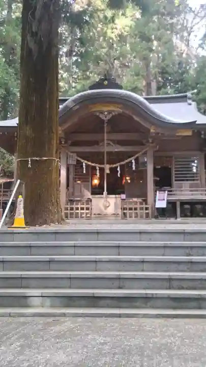 西金砂神社の{uncategorized: "未分類", other: "その他", undefined: "問題あり", building: "その他建物", grave: "お墓", sacred_gate: "鳥居", guardian: "狛犬", statue: "像", buddha: "仏像", history: "歴史", nature: "自然", garden: "庭園", animal: "動物", pagoda: "塔", temizu: "手水舎", mountain_gate: "山門・神門", sanctuary: "本殿・本堂", subordinate: "末社・摂社", art: "芸術", scenery: "景色", jizo: "地蔵", ema: "絵馬", goshuin: "御朱印", omikuji: "おみくじ", items: "授与品その他", amulet: "お守り", goshuincho: "御朱印帳", eats: "食事", festival: "お祭り", votive_dance: "神楽", shichigosan: "七五三参", wedding: "結婚式", experience: "体験その他", initially: "初詣", around: "周辺", anti_infection: "感染症対策"}