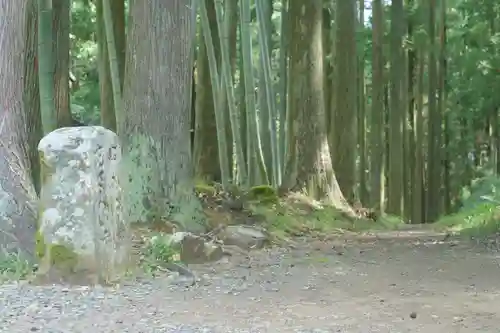 熊野本宮大社の自然