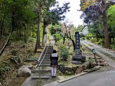 岩作御嶽山（御嶽神社）の自然