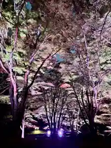 土津神社|こどもと出世の神さま(福島県)(2025年10月25日(土) 17時31分11秒投稿)