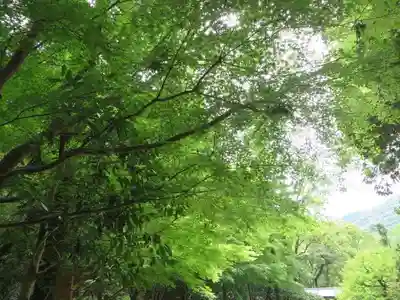 伊勢神宮内宮（皇大神宮）(三重県)