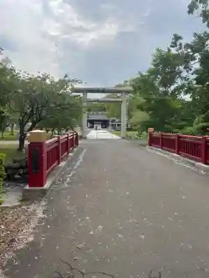 札幌護國神社の鳥居