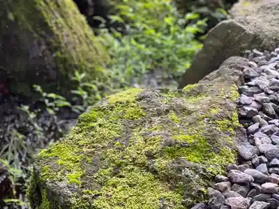 須山浅間神社(静岡県)