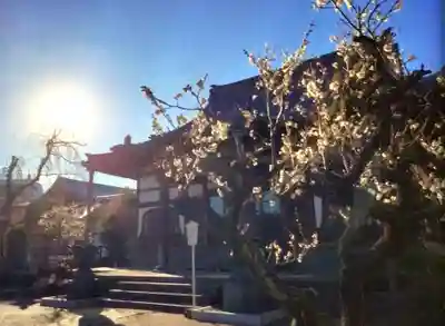 瑞円寺(東京都)