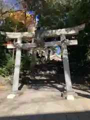 世田谷八幡宮(東京都)