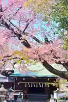 五條天神社の本殿・本堂