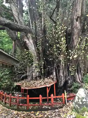 天台寺(岩手県)
