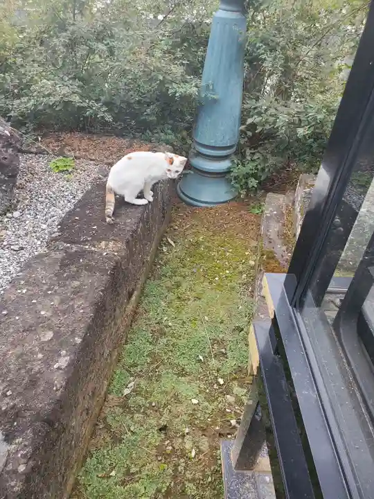 寺岡山元三大師の動物